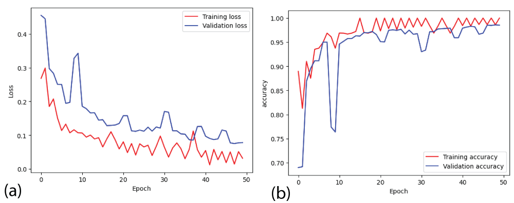 Loss and accuracy curves from ResNet18 model (a) loss (b) accuracy.