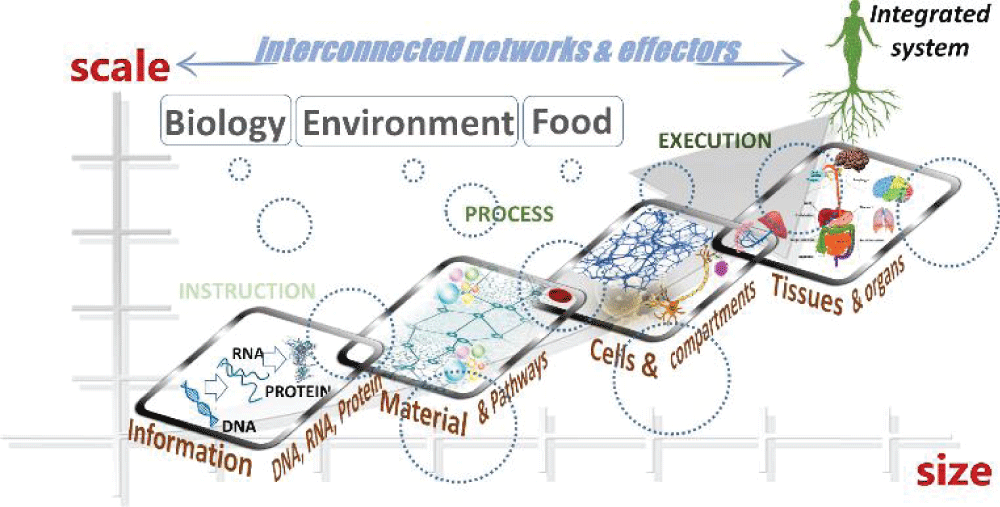 A visual of a ‘systems thinking’ philosophy in biology relating systems with scale.