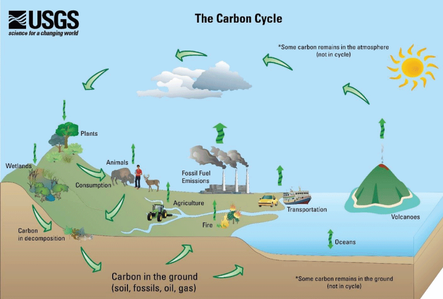 Principles of Sustainability | WISELearn Resources.