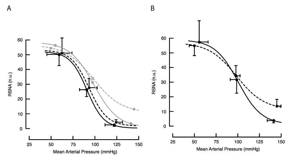 Baroreflex response curves for RSNA in the anaesthetised animal obtained with the cuff method, (A) before and (B) during BCCO. Lines drawn through the means of fitted curves from 5 treated (dashed line) and 7 control animals (solid line). To illustrate the effect of BCCO on these curves, the lighter grey lines in panel A reproduce the lines drawn in panel B. During BCCO, RSNA at saturation was greater in treated animals; p = 0.01, single-tailed t-test.