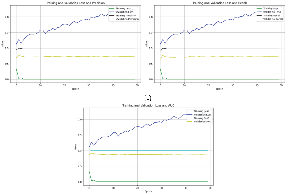 loss/PPV, loss/POD, and loss/AUC curves obtained from the VGG19 model: (a) loss/PPV curve from the VGG19 model, (b) loss/POD curve from the VGG19 model, (c) loss/AUC curve from the VGG19 model.