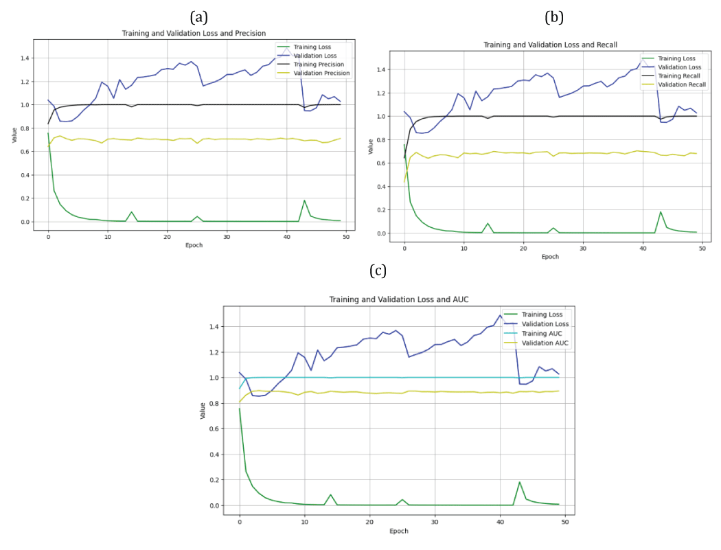 loss/PPV, loss/POD, and loss/AUC curves obtained from the deep residual network model (ResNet-50): (a) loss/PPV curve from the ResNet-50 model, (b) loss/POD curve from the ResNet-50 model, (c) loss/AUC curve from the ResNet-50 model.