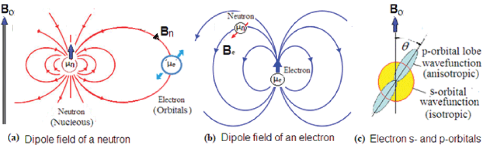 Schematic of neutron-electron hyperfine interactions, showing how the neutron dipole moment interacts with isotropic s-orbitals and anisotropic p-orbital lobes. Here, Bo is the external magnetic field, while Bn and Be are local magnetic fields of neutrons and electrons.