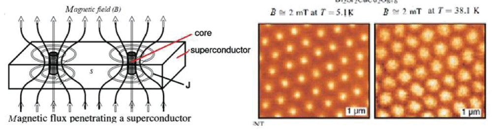 Schematic of the vortices in cored regions of a type-II superconductor (left) and their Abrikosov triangular configurations in an HTS by magnetic force microscopy at two different temperatures below Tc (right). This Figure was reproduced with permission from [77].