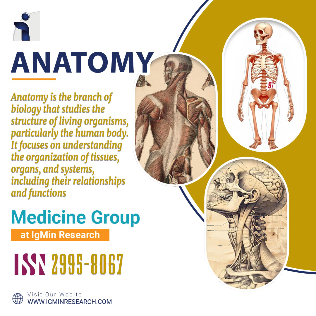 Anatomy